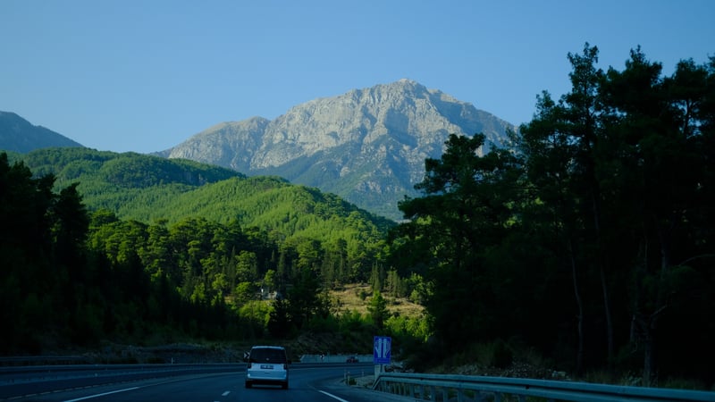a road through pine forest toward a grey rocky mountain