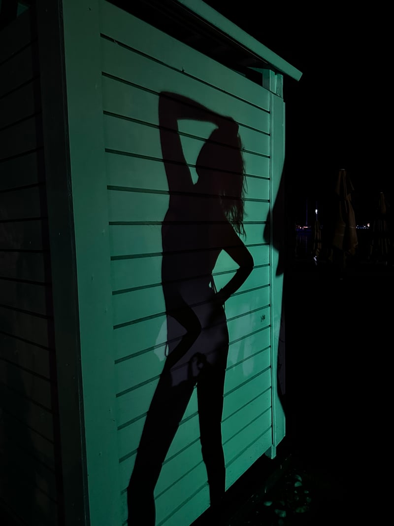the shadow of a person on a green wooden wall at night