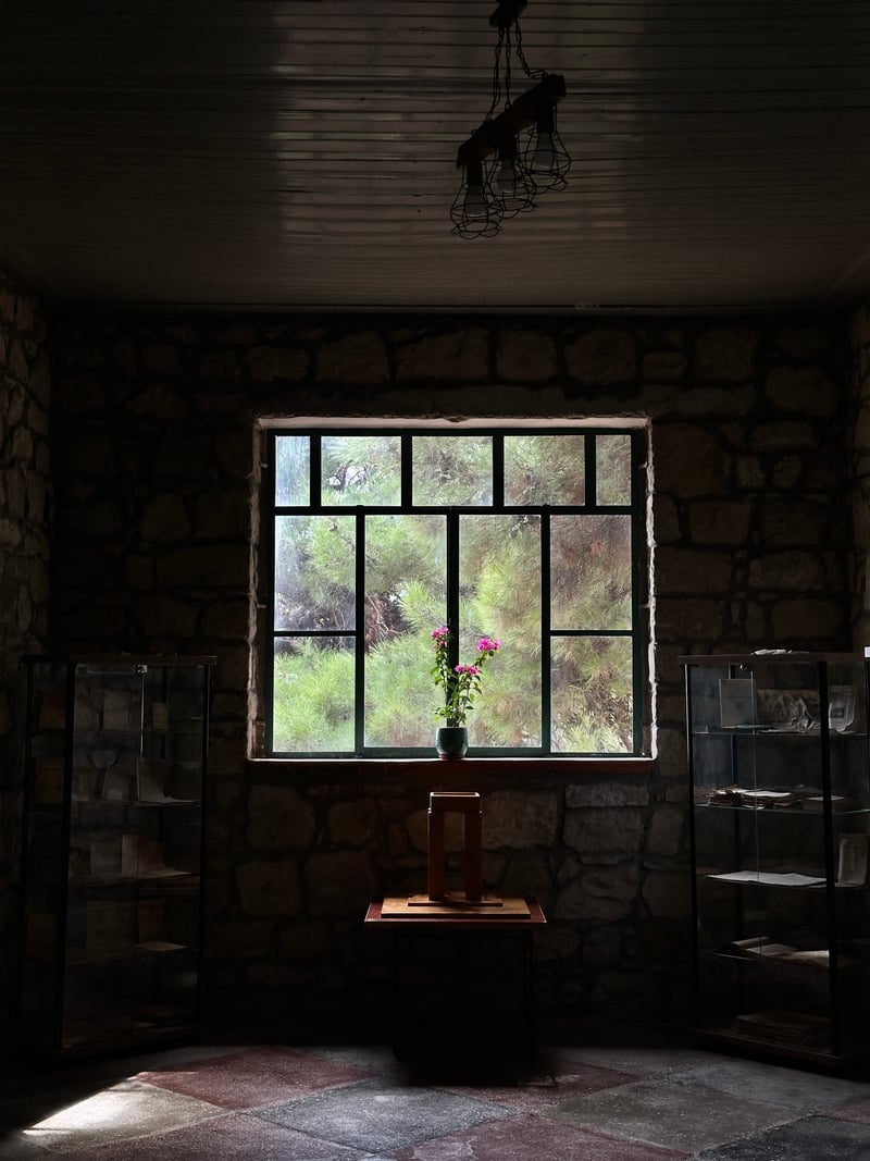 a pink flower on a window sill in a dark stone room, pine trees outside